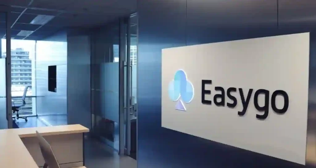 Unveiling the EasyGo Entertainment Pty Ltd Net Worth
